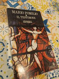 libro il testimone 
