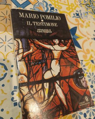 libro il testimone 