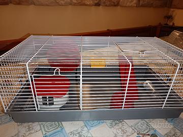 gabbia criceto