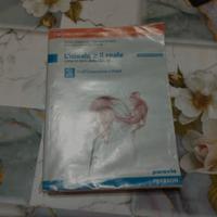 l'ideale e il reale 2 