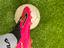 Immagine 5