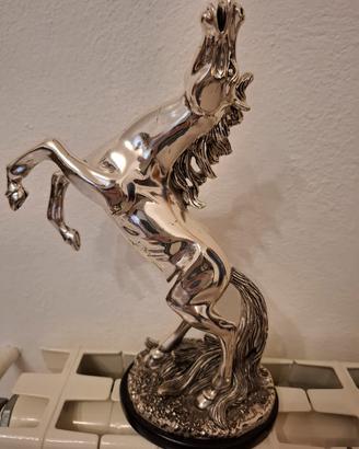 Cavallo