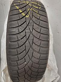 Gomme invernali 