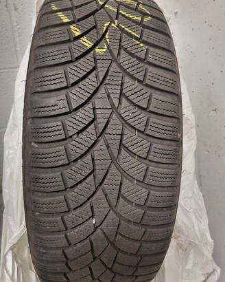 Gomme invernali 