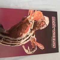 Libro Body worlds La mostra originale