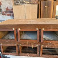 Trasportino per conigli