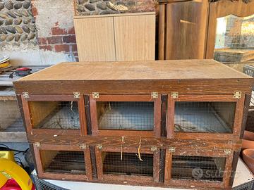 Trasportino per conigli