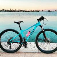 mtb fuji 29 taglia s