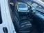 Immagine 8