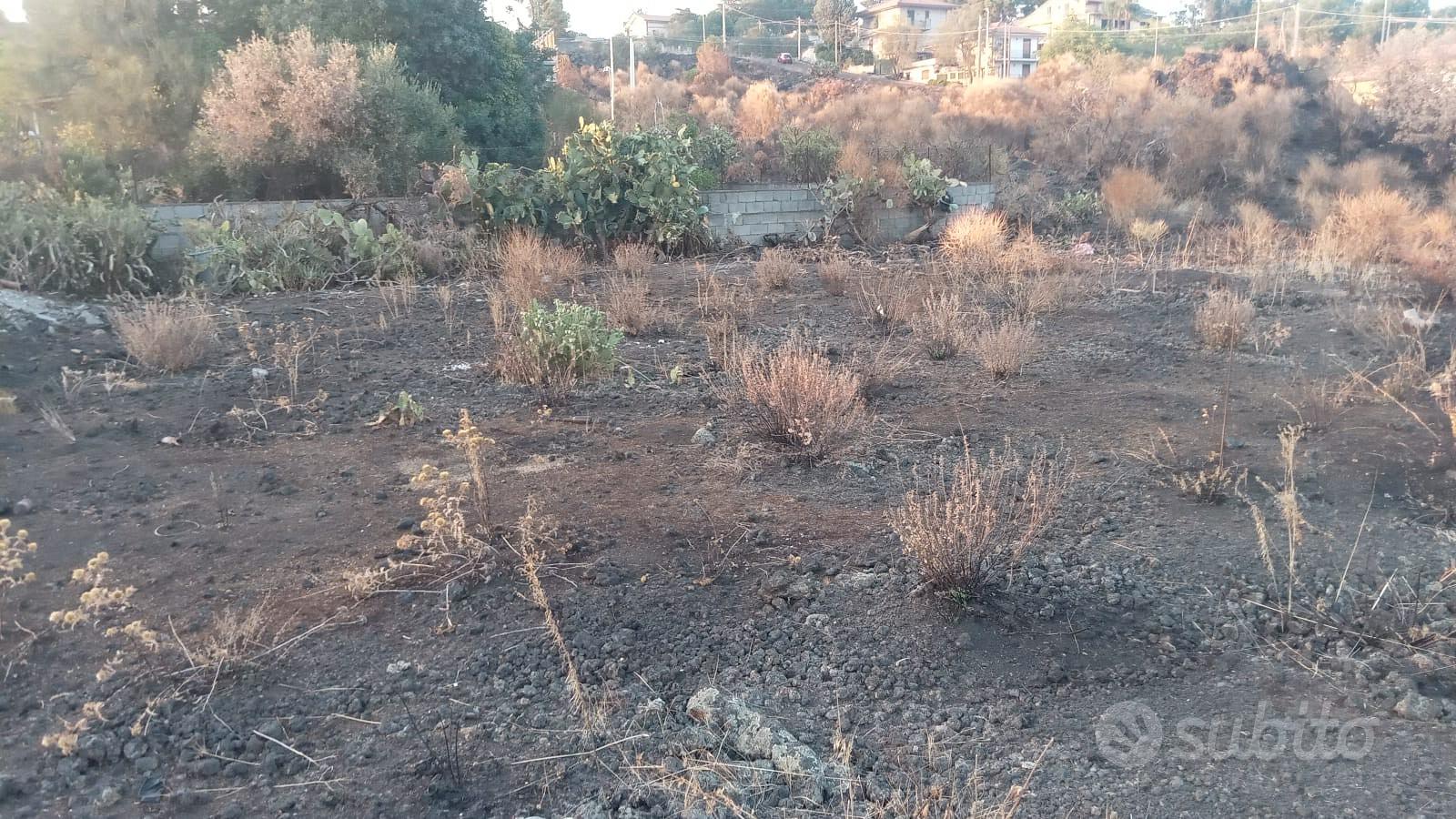 Terreno villaggio delle ginestre - Vista 2