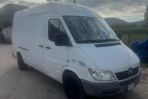 Sprinter