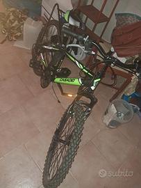 bicicletta ragazzo