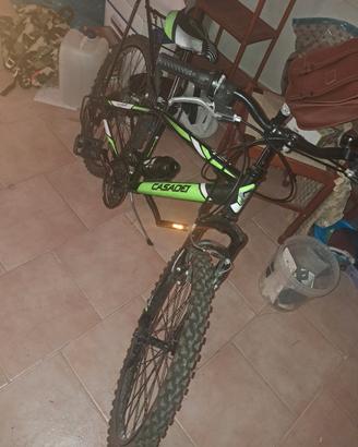 bicicletta ragazzo