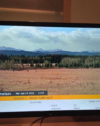 TV Magestic