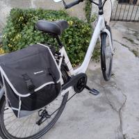 bici elettrica 