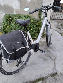 bici elettrica 