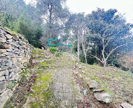 RUSTICO A CAMOGLI CON 20.000M DI TERRENO!