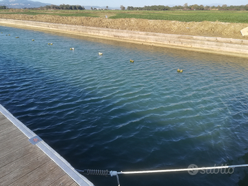 Posto barca in località Perelli - Piombino (Li)