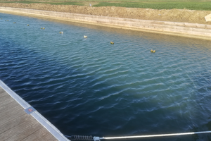 Posto barca in località Perelli - Piombino (Li)