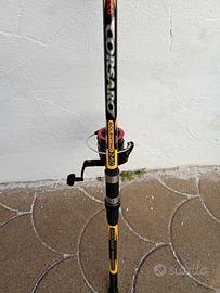 Canna bolentino
