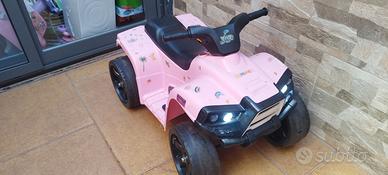quad mini