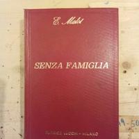 Libro Senza famiglia