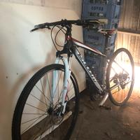 scott bicicletta