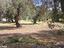 Immagine 15