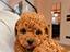 Immagine 2