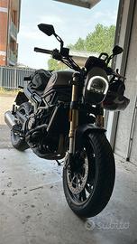 Benelli leoncino 800