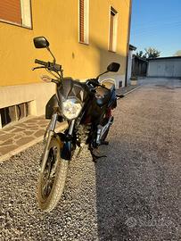 Honda cbf125