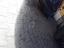 Immagine 9