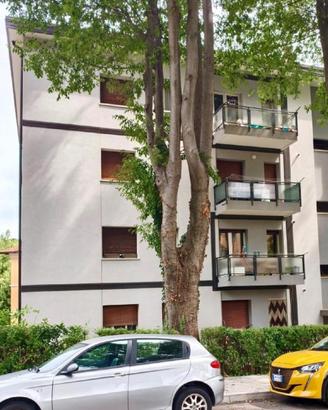 APPARTAMENTO BICAMERE CON TERRAZZO