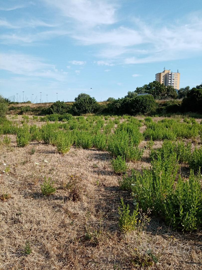 TERRENO EDIFICABILE SASSARI - Vista 3