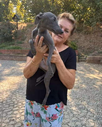 Cucciola di 5 mesi