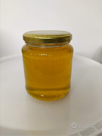 Mille fiori 2025 in secchi