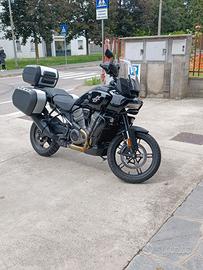 Harley Davidson Pan America