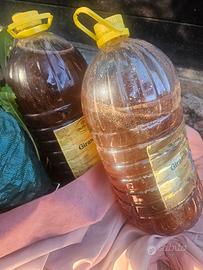 olio frittura esausto