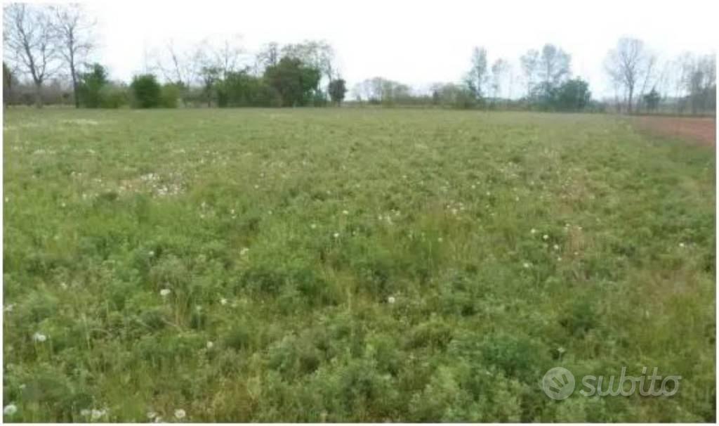 Immobile in asta di 29838 m² a Paese - Vista 3