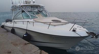 Hydra Sports 2900 VX + 2x250 hp Yamaha (TUTTO 2009