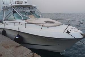 Hydra Sports 2900 VX + 2x250 hp Yamaha (TUTTO 2009