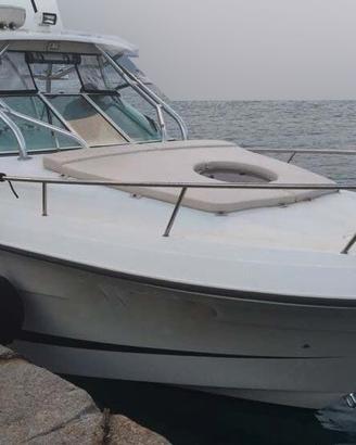 Hydra Sports 2900 VX + 2x250 hp Yamaha (TUTTO 2009