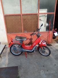 Atala 50cc