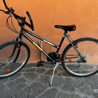 Bici da mountain bike