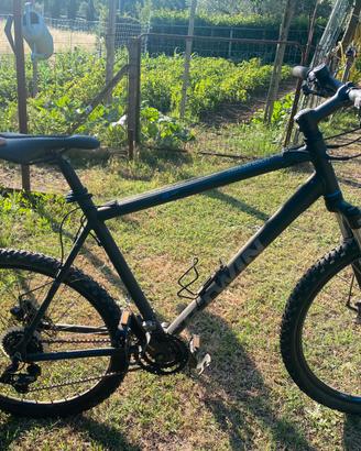 bicicleta travel
