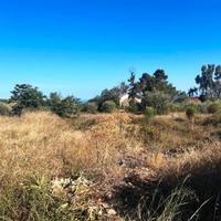 Terreno agricolo pianeggiante no recintato