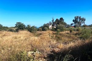 Terreno agricolo pianeggiante no recintato