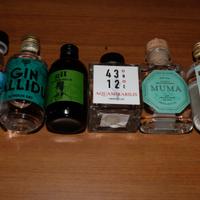 Kit Degustazione 6 Gin Artigianali Italiani 5cl