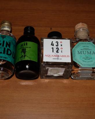 Kit Degustazione 6 Gin Artigianali Italiani 5cl