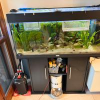 Acquario Juwel 180 completo